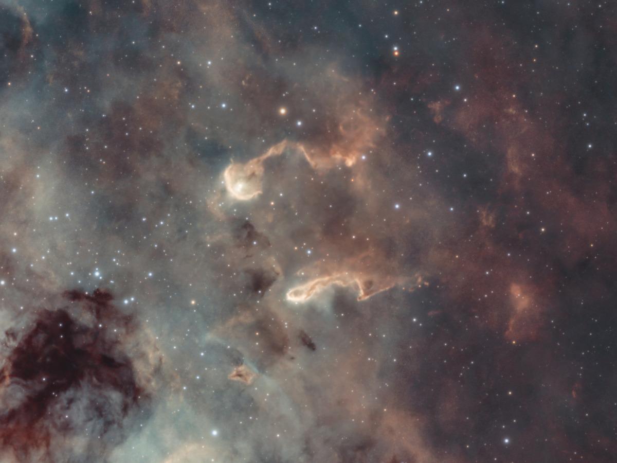 Close-up of the Tadpoles in IC 410, two elongated columns of gas and dust with brightly lit rims set against the surrounding emission nebula