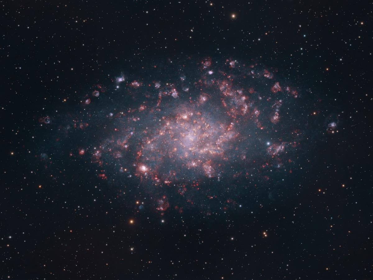 Close-up of the Triangulum Galaxy, showing the pink star-forming regions strung along its spiral arms