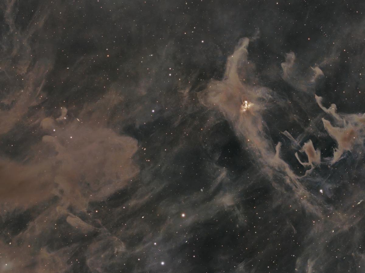 Close-up of LDN 1228, wisps and streamers of dark dust drawn out across the field